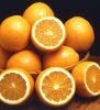 Agriculture- Fruits-Oranges