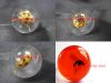 Sell acrylic sphere with insect