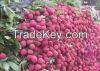 fresh Litchi for sale