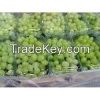 fresh grape fruits for sale