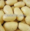 fresh potato for sale