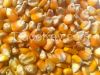 Yellow Corn Grade 2