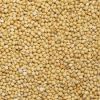 Selling  yellow millet