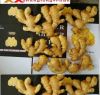 Sell  chinese fresh ginger