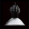 LED Industrial light