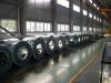 Galvanized Steel Coil