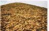 woodchips, biomasse