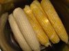  Maize | Maize Exporter | Corn Grain Seller | Maize Buyer | Bulk Maize Grain Importer | Corn bean Buyer | Corn bean Wholesaler | Corn Grain Manufacturer | Best Quality Corn Grain | Cheap Maize Supplier | Low Price Corn | Yellow Corn | White Cron | Baby Ma