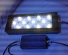 Sell Freshwater Dimmable Cree 3W LED Aquarium Reef Fish Tank Light