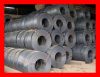 Sell 304 Stainless Steel Coil