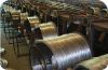 Sell electric galvanised wire