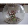 Sell glass fish tank