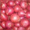 FRESH RED AND WHITE ONIONS