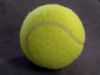 Sell Tennis Ball