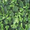 Sell IQF Broccoli green
