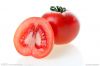 lycopene  tomato extract