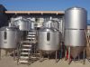 Sell 100l brewery equipment