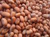 Sell Pink cowpeas (2012Crop)