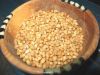 Coriander Seeds