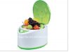 ZY Multi-function Ozone fruits&vegetable washer ozone water purifier
