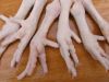 chicken feet for sale