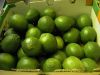 Sell fresh green lemons yellow lemons water melons and othefruits