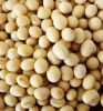 Sell chick peas , white, red and black kidney