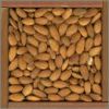 Sell Bettel nuts raw and processed