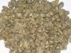 Export Coffee Beans | Arabica Coffee Beans Suppliers | Robusta Coffee Beans Exporters | Coffee Bean Traders | Wholesale Coffee Beans | Buy Coffee Beans | Bulk Coffee Bean | Green Coffee Bean Buyer | Low Price Roasted Coffee Bean | Import Coffee Bean | Cof