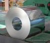 Sell prime hot-dipped galvanized steel coil/sheet