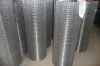 Sell Cheap Stainless Steel Welded Wire Mesh (304, 316, 316L)