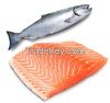 We sell frozen salmon fish, salmon fish heads, fresh salmon fish
