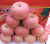 Sell fuji apple