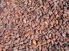 Cocoa Beans