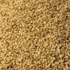 Sell Organic Golden Flax Seeds