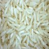 Sell Rice RIce