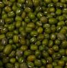 Sell Myanmar origin green mung bean