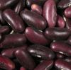 Sell red kidney bean