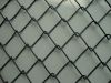 Sell chain link mesh--China fenghua company