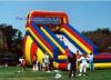 Sell different design inflatable dry slide