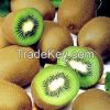 Fresh Kiwi Fruit