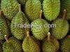 Fresh Durians