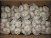 Sell Chinese exports normal white fresh garlic