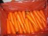 Sell Fresh Carrots