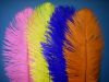 BEAUTIFUL OSTRICH FEATHERS
