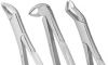 Sell Tooth Extracting Forceps