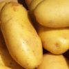 Sell High Quality Fresh Potatoes