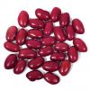 Sell high quality kidney beans