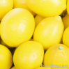 Sell Fresh yellow lemons