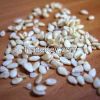 100% high quality white Sesam seed